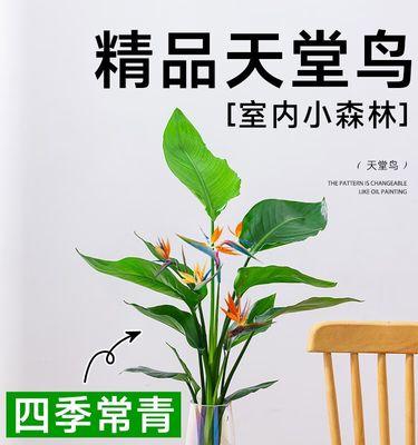 哪些植物适合室内耐阴环境？室内耐阴植物有哪些？