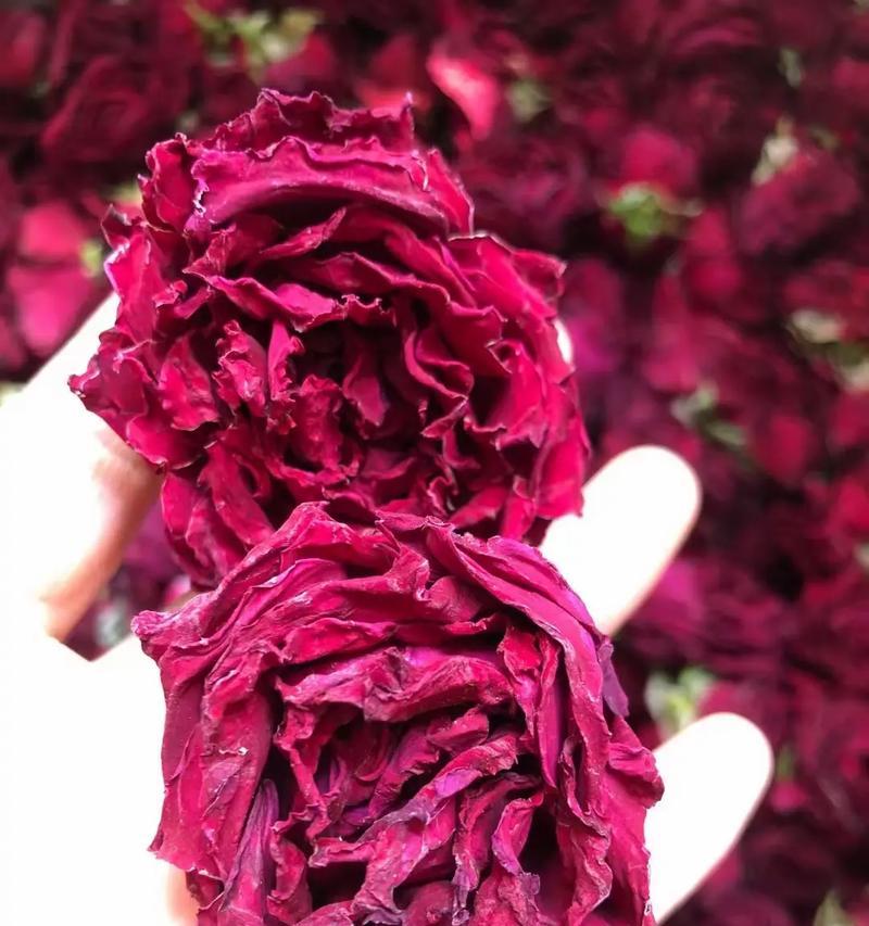玫瑰鲜花的保鲜方法是什么？如何延长玫瑰鲜花的观赏期？