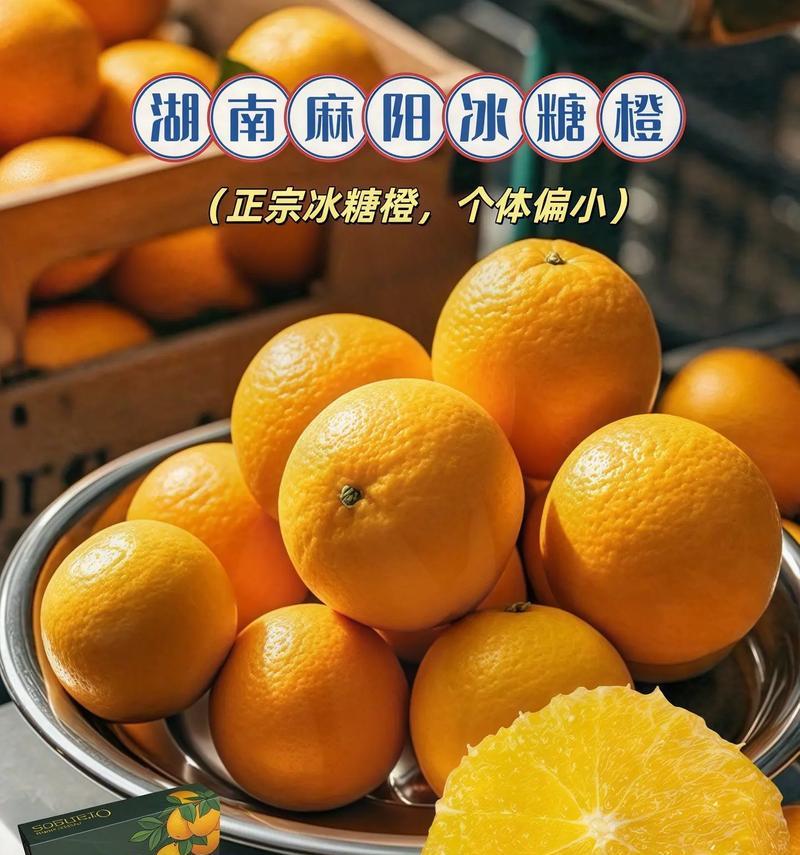 橙子籽种植方法是什么？如何确保高发芽率？
