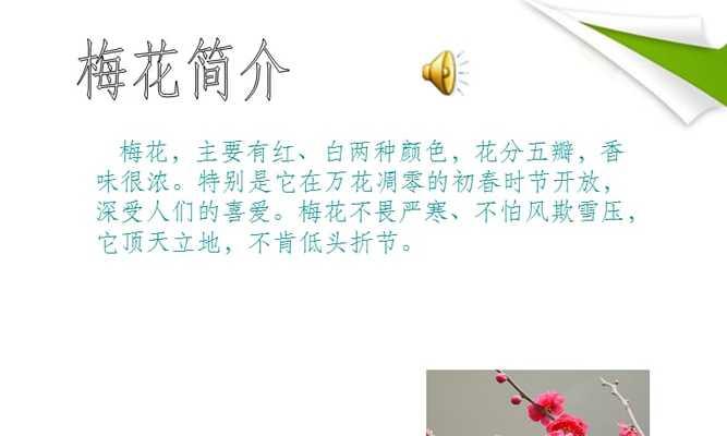 梅花的形态特征有哪些？