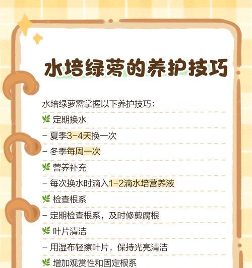 绿箩水培的正确方法是什么？