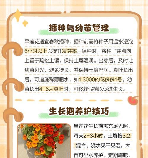 家庭中莲花的养殖方法和注意事项？