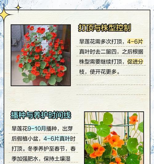 家庭中莲花的养殖方法和注意事项？