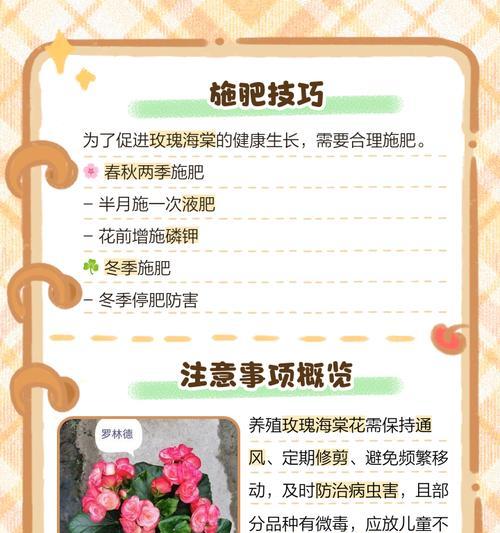 新鲜玫瑰花的保存和养护技巧？