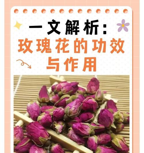 新鲜玫瑰花的保存和养护技巧？