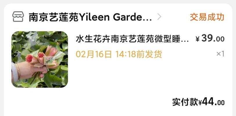 碗莲种植步骤和注意事项是什么？