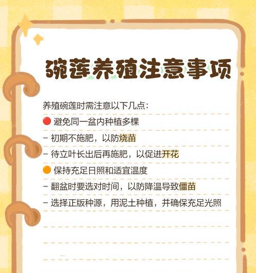 碗莲种植步骤和注意事项是什么？
