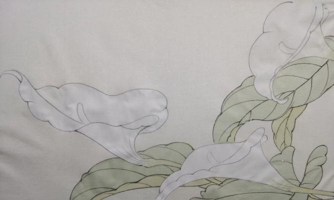 马蹄莲插枝的正确步骤和管理技巧是什么？