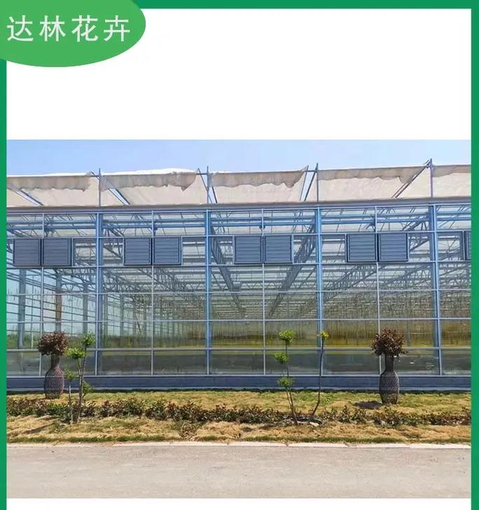 花卉大棚适合种植哪些品种？大棚花卉品种选择技巧是什么？