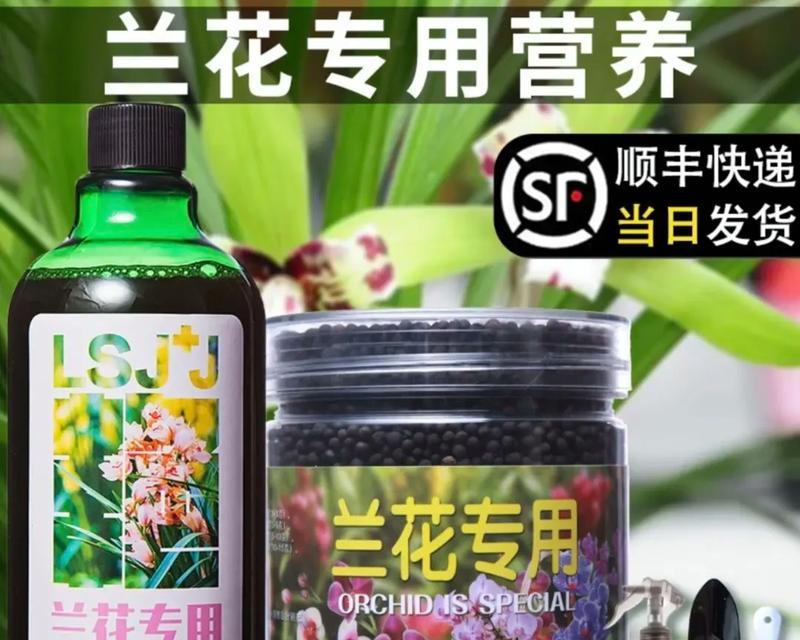 蝴蝶兰肥料有哪些种类？如何正确选择？