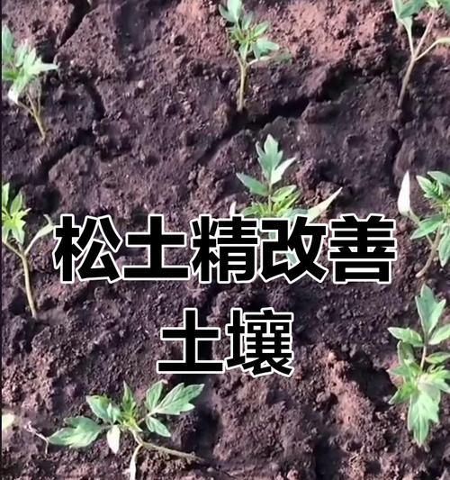 改良土壤有什么植物？适合改良土壤的植物种类和作用是什么？