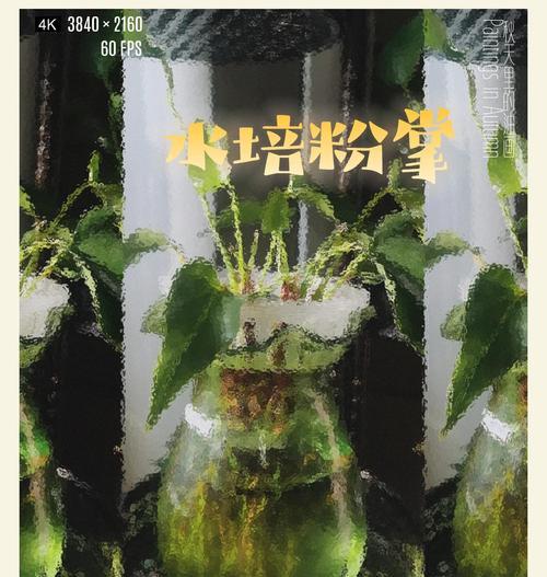粉掌不开花是什么原因？