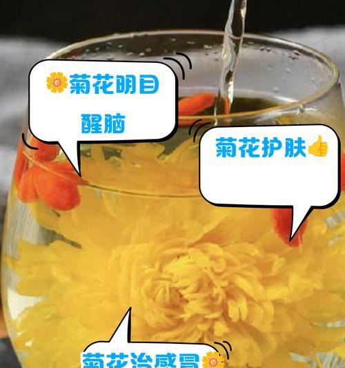 菊花的日常保养方法有哪些？