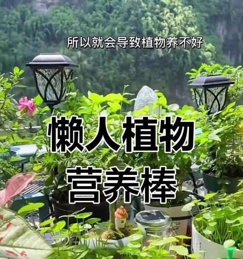 家里养花怎么施肥？如何正确给家里养的花施肥？
