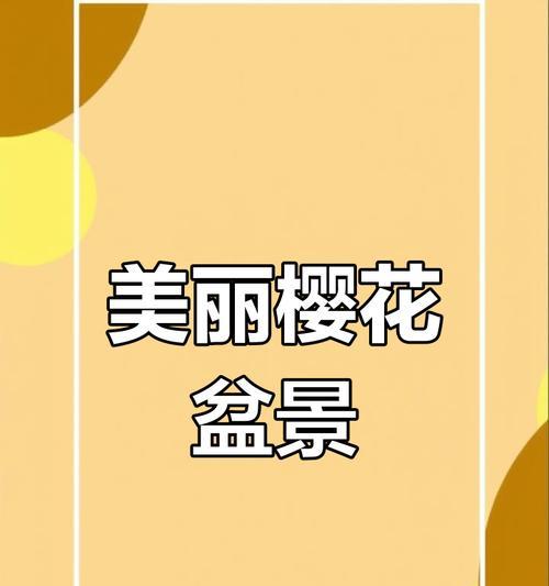 樱花盆景怎么养？樱花盆景的养护和管理技巧是什么？