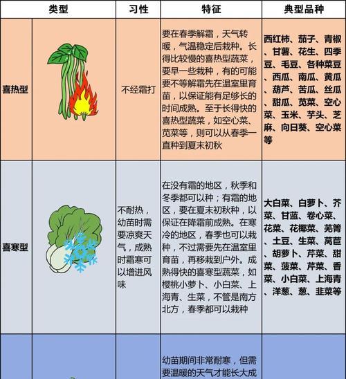 性寒蔬菜有哪些？性寒蔬菜的健康益处是什么？