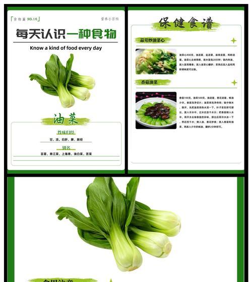 性寒蔬菜有哪些？性寒蔬菜的健康益处是什么？