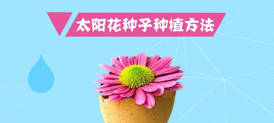 用种子种植花卉的步骤是什么？