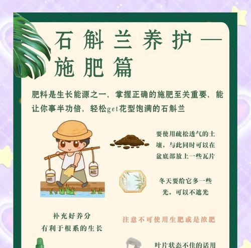 种植石斛的好处和注意事项是什么？