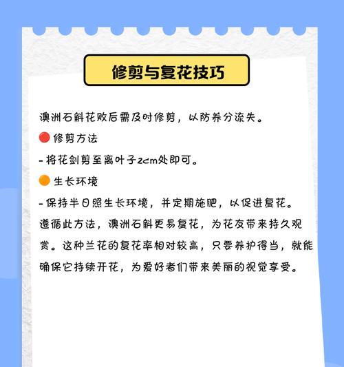 种植石斛的好处和注意事项是什么？