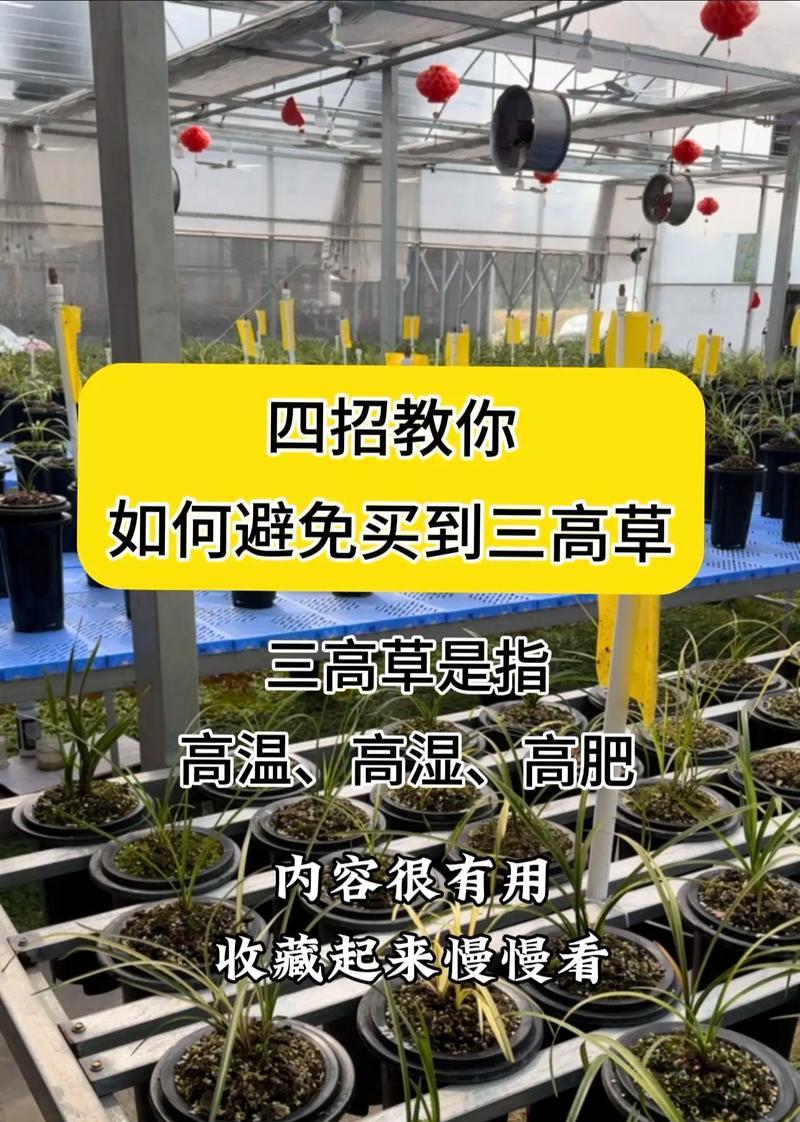 野生兰花繁殖方法有哪些？