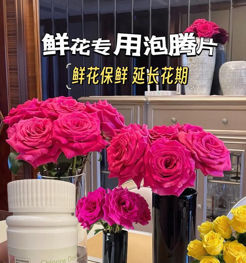 怎么切花才能延长花期？切花保鲜的正确方法？