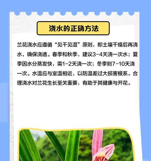 春兰花品种的挑选和养护方法是什么？