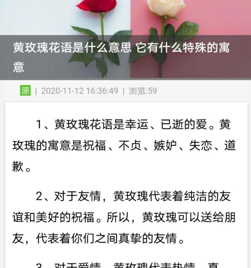 玫瑰有哪些种类？各自的花语是什么？