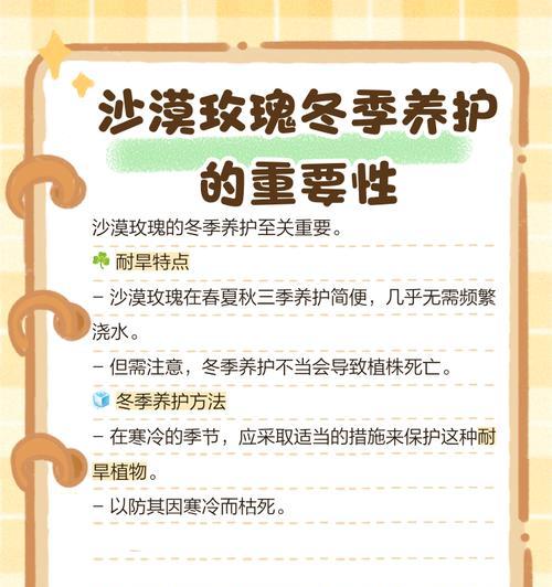 冬季玫瑰花的养护技巧和注意事项是什么？