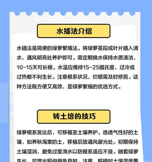 绿萝移栽的最佳时机和步骤是什么？