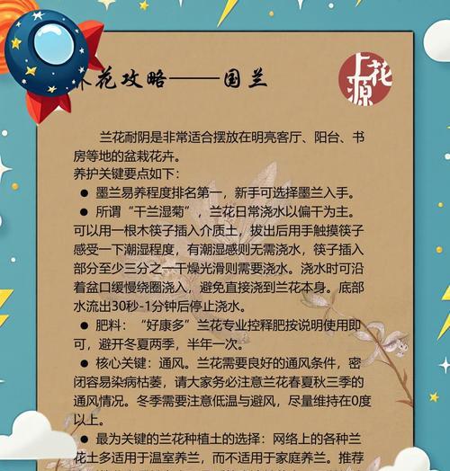 兰花养殖技巧有哪些？兰花养护需要注意什么？