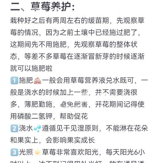 草莓的养护技巧和常见问题解答？