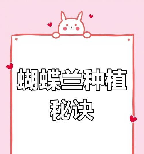 蝴蝶兰怎么种植最好的方法？有哪些步骤和技巧？