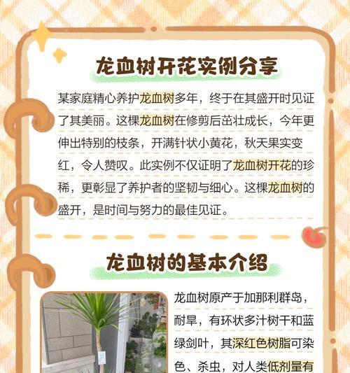 龙血树催芽方法是什么？如何快速让龙血树发芽？