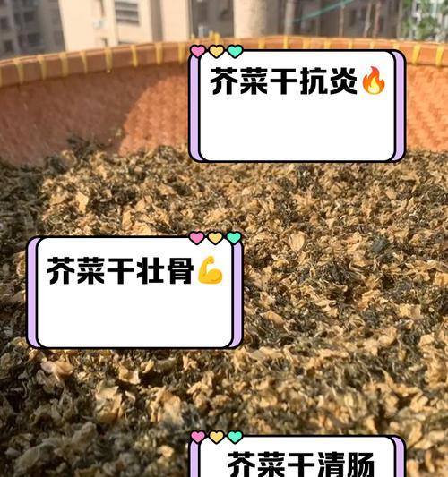大叶盖菜催芽方法是什么？如何提高发芽率？