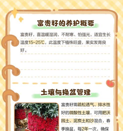 富贵子苗怎么种植方法？种植过程中需要注意哪些问题？