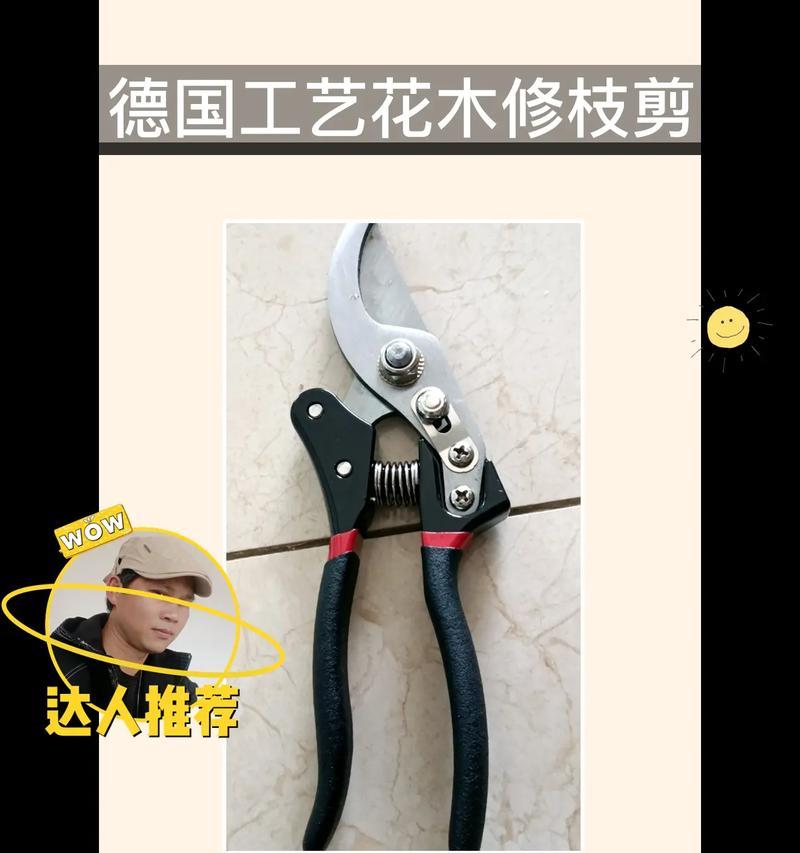 剪枝条修剪技巧有哪些？如何修剪才能更美观？