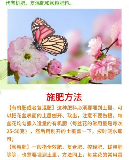 通用催芽爆芽素使用方法是什么？常见问题有哪些？
