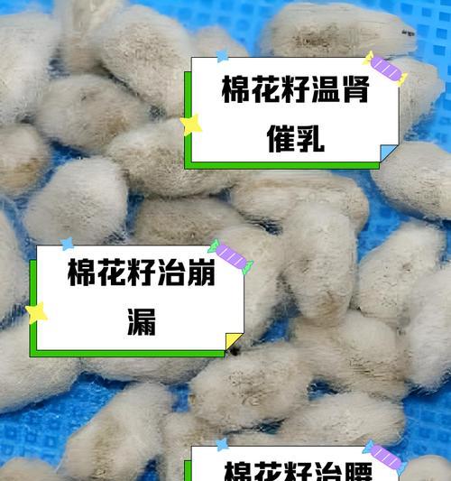 棉花种子在家催芽的方法是什么？需要多长时间才能发芽？