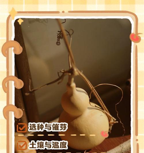 保湿法催芽葫芦怎么用？使用步骤和注意事项是什么？