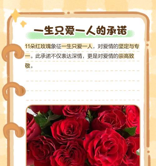 104朵花的寓意是什么意思？花语背后隐藏的深层含义是什么？