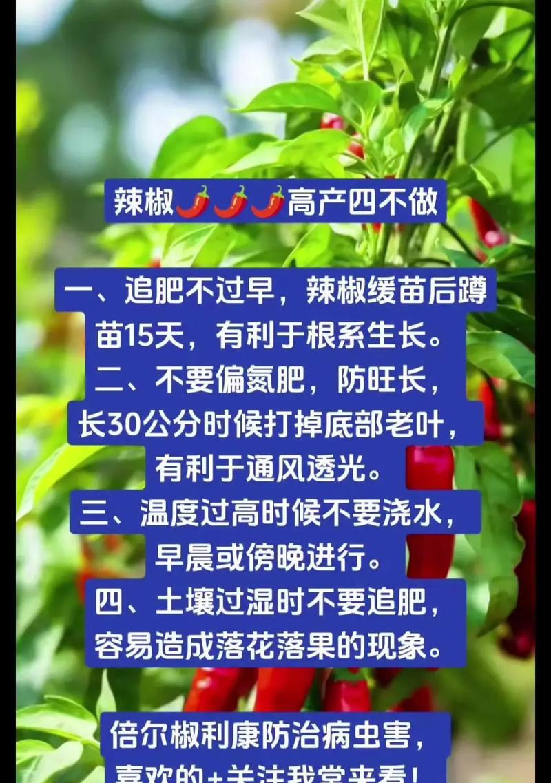 种大椒催芽方法是什么？如何提高发芽率？