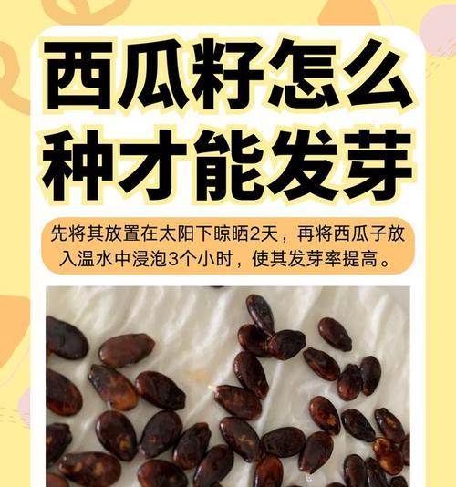 西瓜催芽的最佳方法是什么？需要多长时间才能发芽？