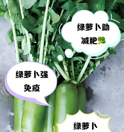 绿罗卜种植方法有哪些常见问题？如何解决？