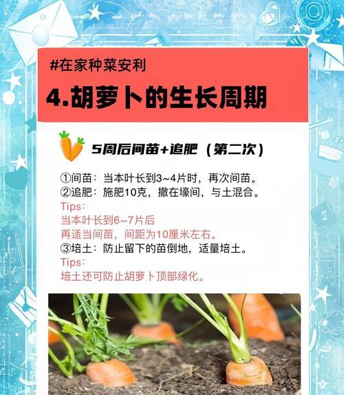 绿罗卜种植方法有哪些常见问题？如何解决？
