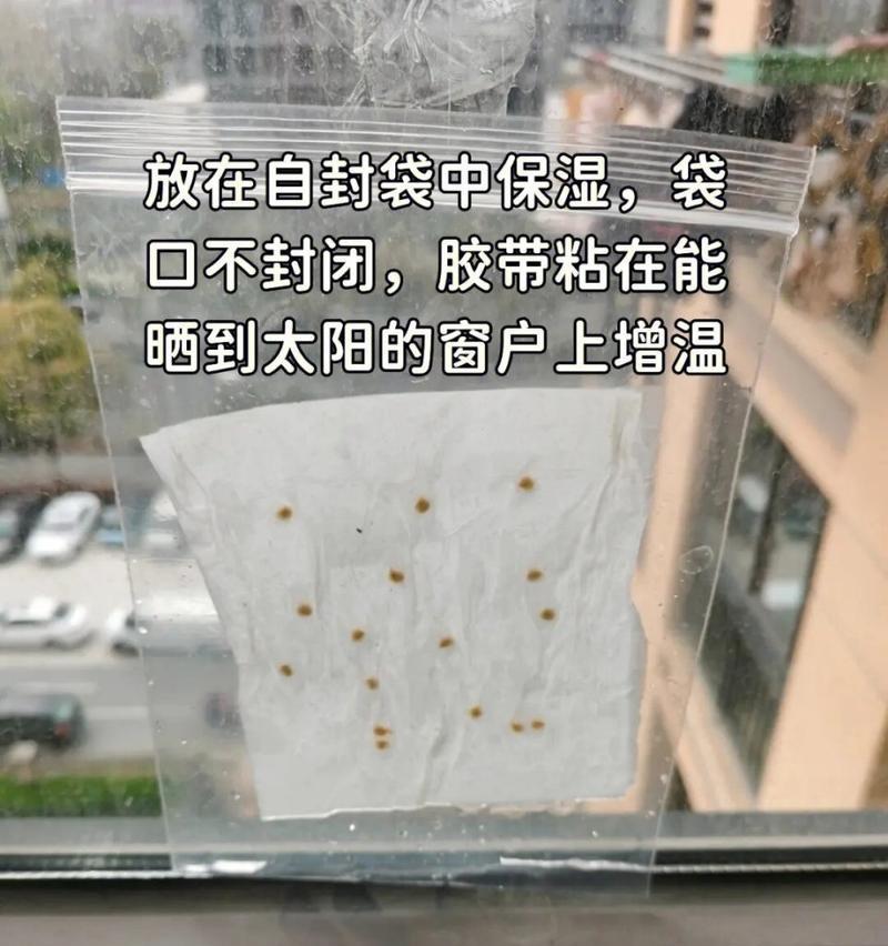 种辣椒催芽法有哪些？如何正确使用催芽法提高发芽率？