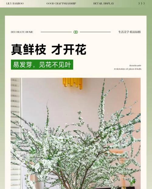 春雪修剪枝条的最佳时机是什么时候？具体步骤有哪些？