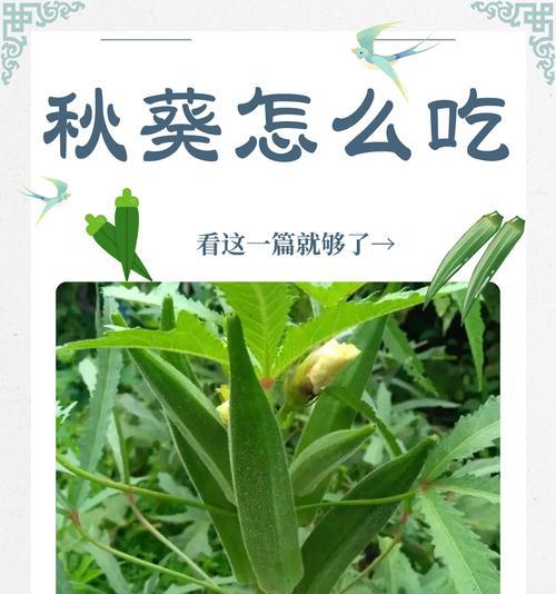秋葵在家催芽方法是什么？需要多长时间才能发芽？