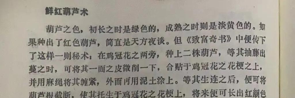 夏天种植葫芦的最佳方法是什么？步骤和技巧有哪些？