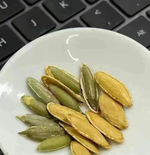 南瓜子怎么催芽？催芽过程中的常见问题有哪些？
